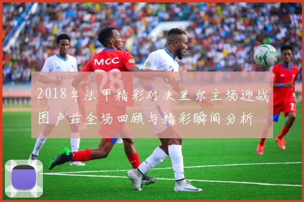 2018年法甲精彩对决里尔主场迎战图卢兹全场回顾与精彩瞬间分析